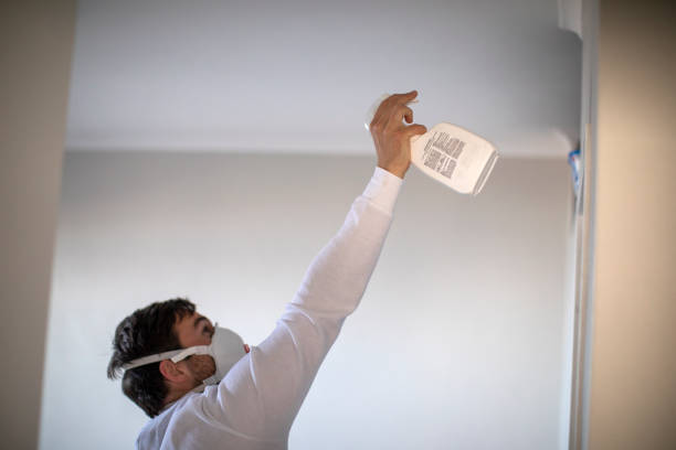 Best Mold Removal Company Near Me  in Victory Gardens, NJ